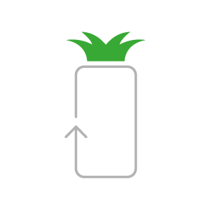 Renew Pineapple Logo