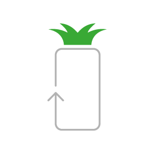 RENEW_PINEAPPLE_LOGO_TRASP Renew Pineapple Logo