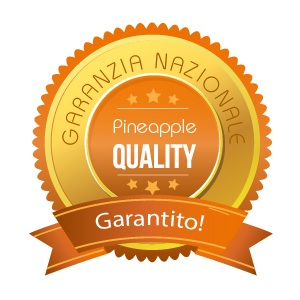 GARANZIA-PINEAPPLE GARANZIA RIPARAZIONI PINEAPPLE
