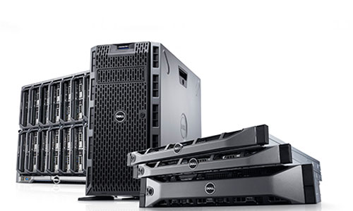 INFORMATICA_SERVER Pineapple Chiavari