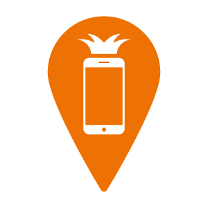 laboratori-pineapple-riparazioni LABORATORI RIPARAZIONI PINEAPPLE