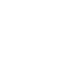 300x300_pineapplesrl
